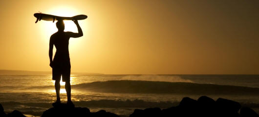 Hawaii Surf